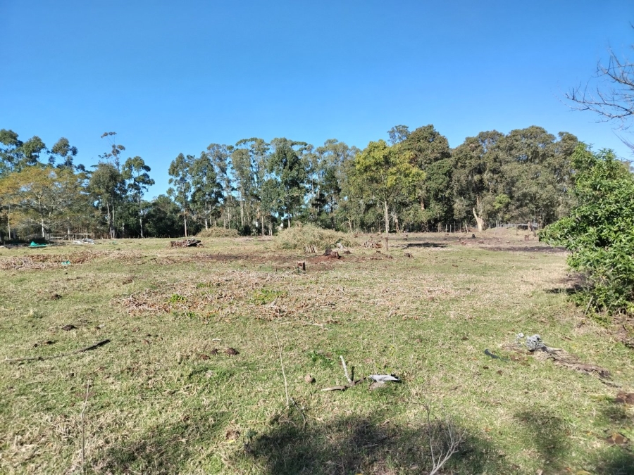 4 Bedroom Property for Sale in Port Elizabeth Rural Eastern Cape